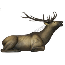 SRT Bedded Elk 